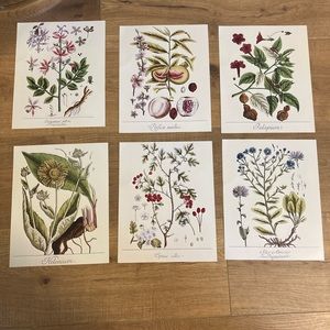 FREE W/ PURCHASE Floral prints Artwork pack of 6